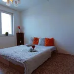 Rent 2 bedroom apartment of 42 m² in České Budějovice