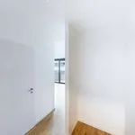 Rent 1 bedroom apartment in berlin