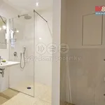 Rent 2 bedroom apartment of 99 m² in Prague