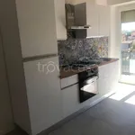 Rent 2 bedroom apartment of 60 m² in Nettuno