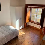 Rent 5 bedroom apartment in Coimbra