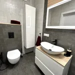 Rent 2 bedroom apartment of 49 m² in Poznan