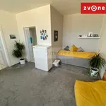 Rent 1 bedroom house in Zlín