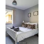 Rent 4 bedroom house in South West England