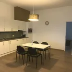 Huur 1 slaapkamer appartement in Mol