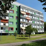 Rent 1 bedroom apartment of 30 m² in Döbeln