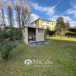 Rent 3 bedroom apartment of 45 m² in Pisa