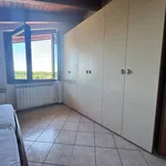 Rent 2 bedroom apartment of 50 m² in Arcore