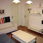 Rent 6 bedroom apartment in Madrid