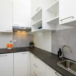 Rent 3 bedroom apartment in Prague