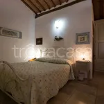 Rent 1 bedroom apartment of 35 m² in Siena