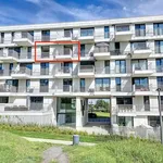 Rent 1 bedroom apartment in Tienen