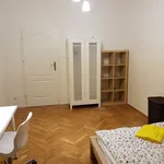 Rent a room in Warszawa