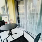 Rent 3 bedroom apartment of 100 m² in Katowice