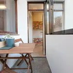 Rent 1 bedroom apartment in Porto