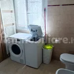 Rent 2 bedroom apartment of 45 m² in Bologna