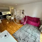 Rent 1 bedroom apartment in Bristol