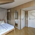 Pronajměte si 5 ložnic/e byt o rozloze 180 m² v Prague