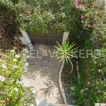 Rent 5 bedroom house of 166 m² in Palermo