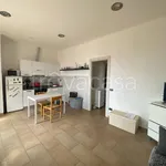 Rent 2 bedroom apartment of 70 m² in Ardea