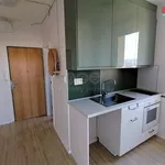 Rent 1 bedroom apartment of 30 m² in Jablonec nad Nisou