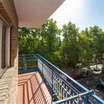 Rent 3 bedroom apartment in Granada