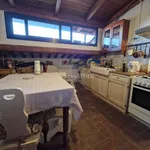 Rent 3 bedroom apartment of 60 m² in Pisa