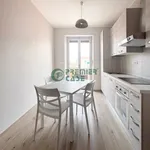 Rent 2 bedroom apartment of 50 m² in Turin