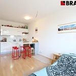 Rent 1 bedroom apartment of 29 m² in Brno