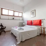 Rent 1 bedroom apartment of 85 m² in Florence