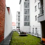 Rent 4 bedroom apartment of 75 m² in Poznan