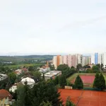 Rent 1 bedroom apartment of 31 m² in Brno