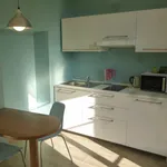 Rent 1 bedroom apartment in Turin