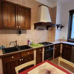 Rent 4 bedroom apartment of 120 m² in Taranto