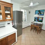 Rent 4 bedroom apartment of 130 m² in Trento