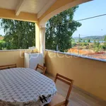 Rent 2 bedroom apartment of 50 m² in Olbia