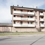 Rent 4 bedroom apartment of 100 m² in Colorno