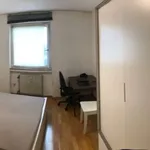 Rent a room of 127 m² in cologne