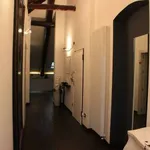 Rent 2 bedroom apartment of 106 m² in Turin