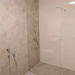 Rent 1 bedroom apartment of 50 m² in Pécs