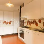 Rent 4 bedroom apartment of 150 m² in Segrate