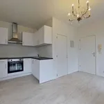 Rent 1 bedroom apartment in Brussels