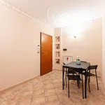 Rent 1 bedroom apartment of 24 m² in Rome