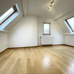 Maison de 195 m² avec 4 chambre(s) en location à Sint-Pieters-Woluwe