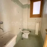 Rent 3 bedroom apartment of 70 m² in Roma