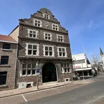 Rent 1 bedroom apartment of 52 m² in Sittard