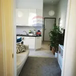 Rent 3 bedroom apartment of 85 m² in Bologna