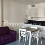 Rent 1 bedroom apartment of 43 m² in Turin