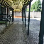 Rent 1 bedroom apartment of 38 m² in Turin