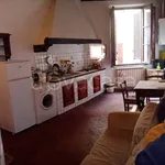 Rent 1 bedroom apartment of 45 m² in Firenze